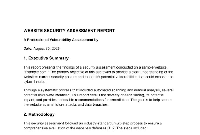 website vulnerability scan and security report